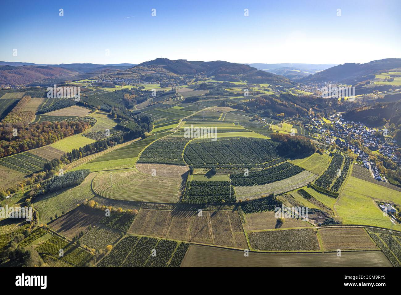 Luftaufnahme, Wiesen und Felder mit Weihnachtsbaumanbau im Landkreis Heringhausen in Bestwig, Sauerland, Nordrhein-Westfalen, Deutschland, t Stockfoto