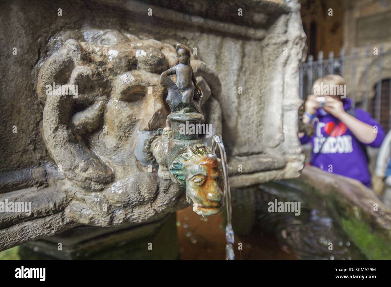 Kreuzgang der Kathedrale von Barcelona, Wasserspeier, Barcelona, Katalonien, Spanien, Europa, Stadtrundfahrt, Tourismus, Europa Stadtrundfahrt, Katalonien, Stadttourismus, Tourismus Stockfoto