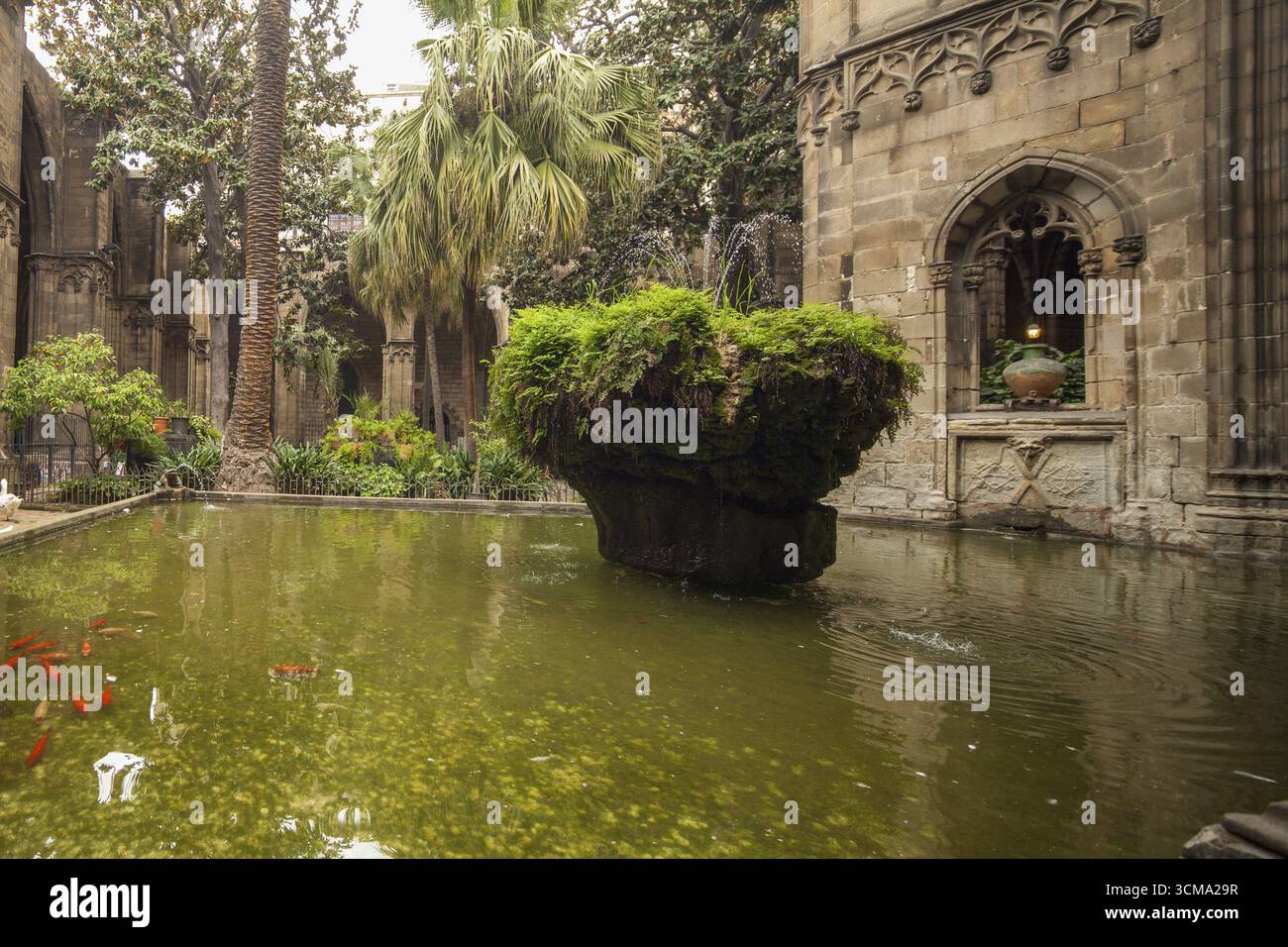 Kathedrale Von Barcelona, Barcelona, Katalonien, Spanien, Europa, Stadtbesichtigung, Tourismus, Europa Stadtbesichtigung, Katalonien, Stadttourismus, Stadtrundfahrt durch Tourismus Stockfoto