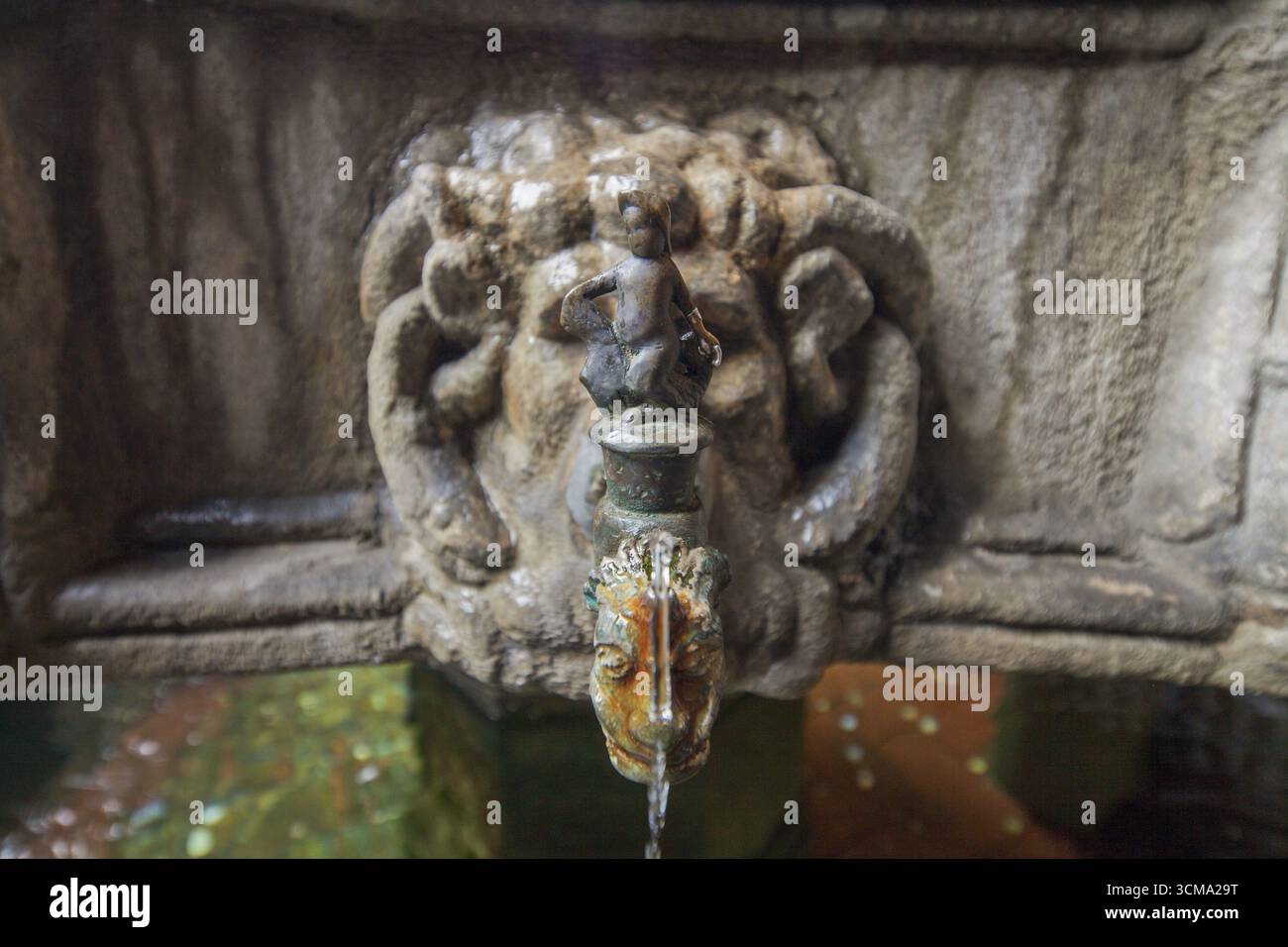 Kreuzgang der Kathedrale von Barcelona, Wasserspeier, Barcelona, Katalonien, Spanien, Europa, Stadtrundfahrt, Tourismus, Europa Stadtrundfahrt, Katalonien, Stadttourismus, Tourismus Stockfoto