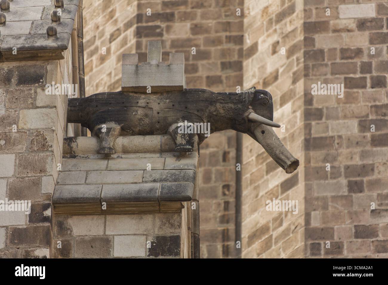 Kathedrale Von Barcelona, Barcelona, Katalonien, Spanien, Europa, Stadtbesichtigung, Tourismus, Europa Stadtbesichtigung, Katalonien, Stadttourismus, Stadtrundfahrt durch Tourismus Stockfoto