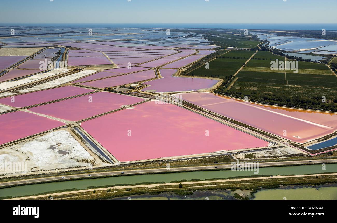Salzseen in der Nähe von Aigues-Mortes in der Camargue, Salzblumen auf den Salzebenen, Camargue, Aigues-Mortes, Frankreich, Languedoc-Roussillon, Frankreich, Europa, Stockfoto