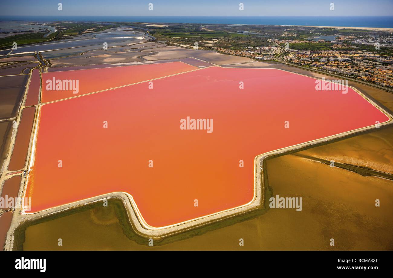 Salzseen in der Nähe von Aigues-Mortes in der Camargue, Salzblumen auf den Salzebenen, Camargue, Aigues-Mortes, Frankreich, Languedoc-Roussillon, Frankreich, Europa, Stockfoto