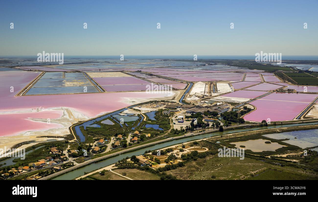 Salzseen in der Nähe von Aigues-Mortes in der Camargue, Salzblumen auf den Salzebenen, Camargue, Aigues-Mortes, Frankreich, Languedoc-Roussillon, Frankreich, Europa, Stockfoto