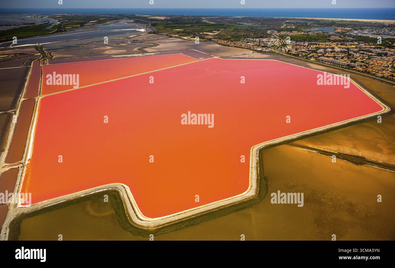 Salzseen in der Nähe von Aigues-Mortes in der Camargue, Salzblumen auf den Salzebenen, Camargue, Aigues-Mortes, Frankreich, Languedoc-Roussillon, Frankreich, Europa, Stockfoto
