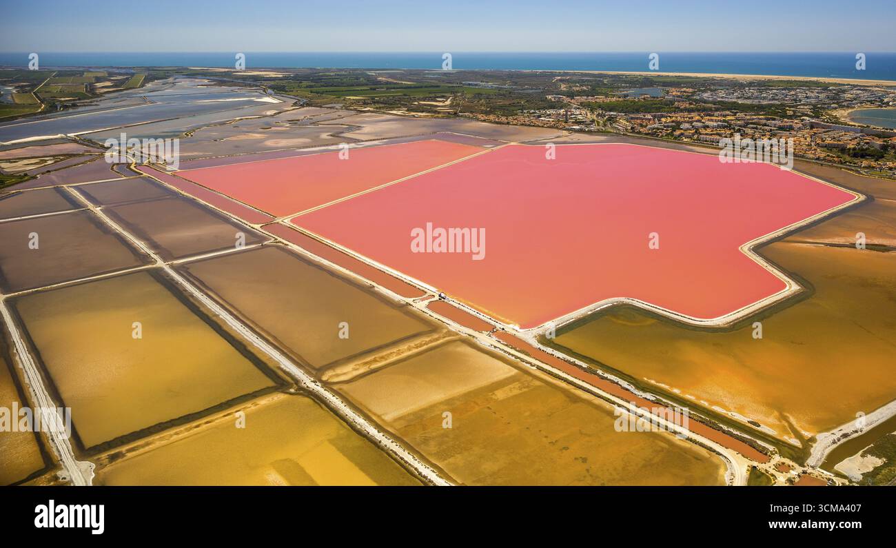 Salzseen in der Nähe von Aigues-Mortes in der Camargue, Salzblumen auf den Salzebenen, Camargue, Aigues-Mortes, Frankreich, Languedoc-Roussillon, Frankreich, Europa, Stockfoto