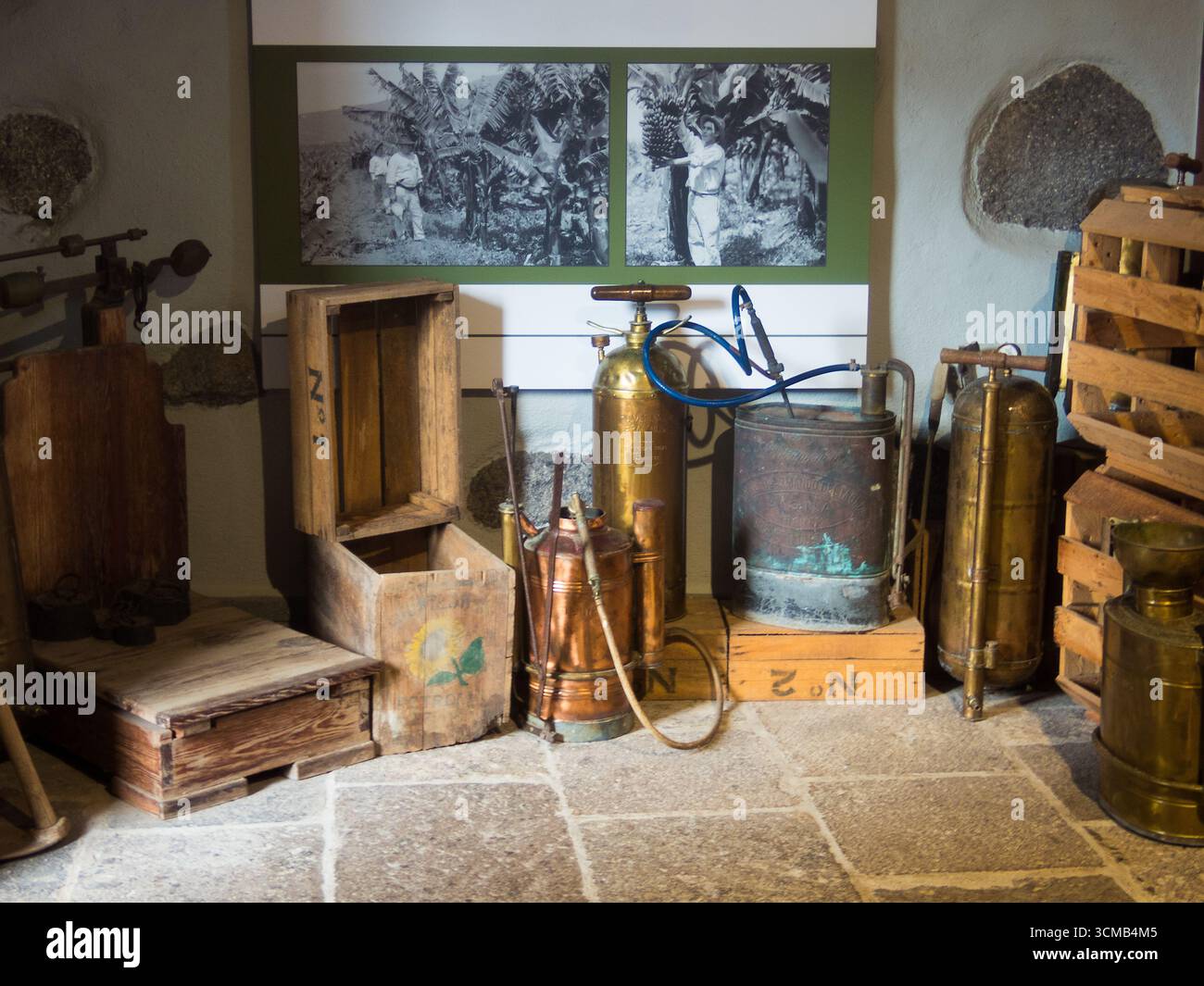 Haus der Banane, Icod de los Vinos, Insel Teneriffa, Spanien Stockfoto