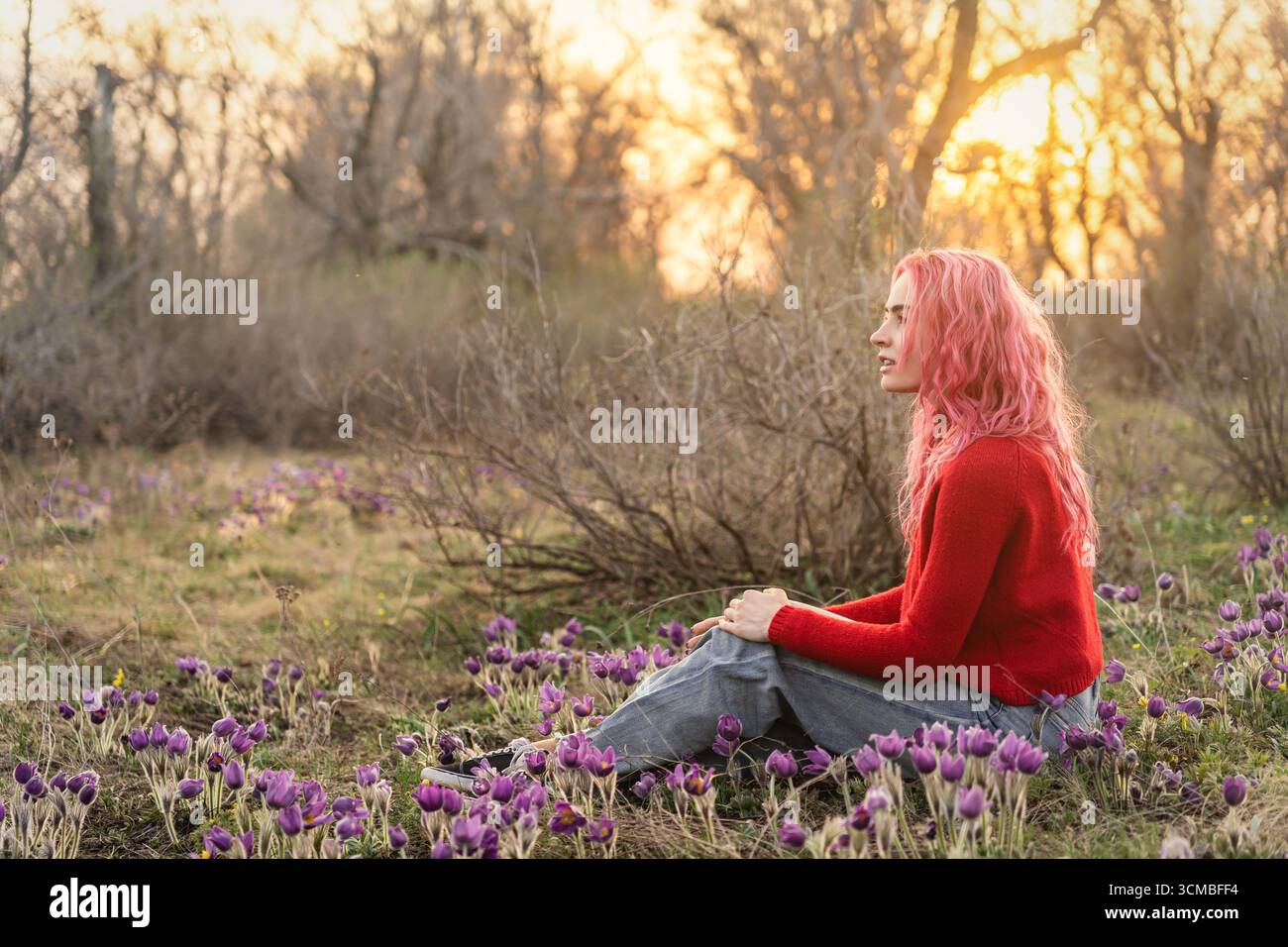 Eine junge Frau mit leuchtendem rosa Haar sitzt friedlich zwischen blühenden Blumen in einer natürlichen Umgebung. Das warme Sonnenlicht sorgt für eine ruhige und farbenfrohe Atmosphäre Stockfoto