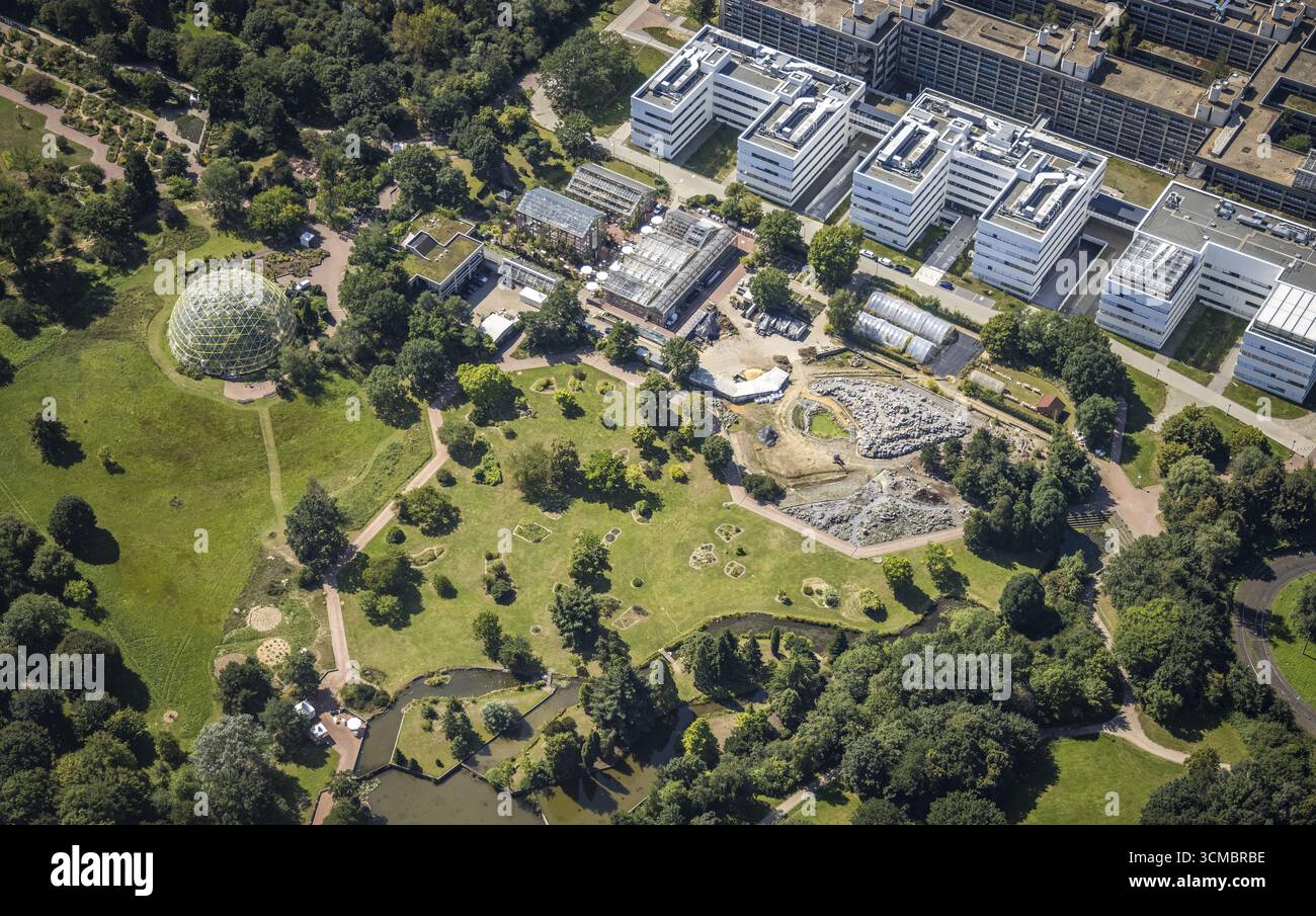 Luftaufnahme, Botanischer Garten mit gewölbtem Gewächshaus an der Heinrich-Heine-Universität in Bilk, Düsseldorf, Rheinland, Nordrhein-Westfalen, Deutschland, edu Stockfoto