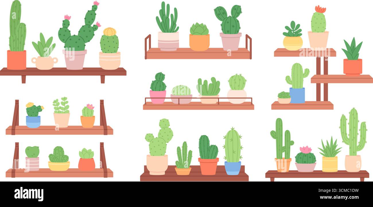 Pflanzregale. Zimmerpflanzen in Töpfen auf Regalen, Kakteen und Sukkulenten für die Innenarchitektur. Dekorative Pflanzen und Blumen für Haus und Büro, rassiger Vektor Stock Vektor