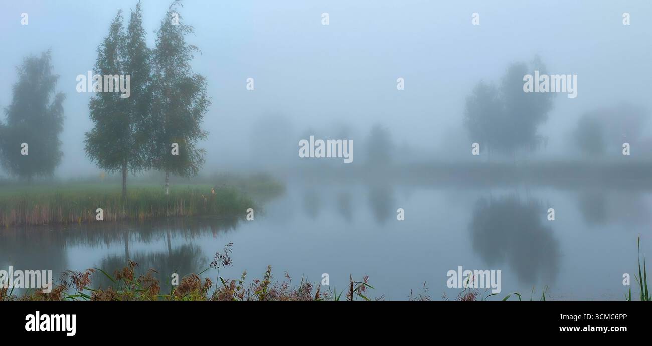 Nebel auf der Sumpflandschaft. Nebeliger Fluss am Morgen Stockfoto