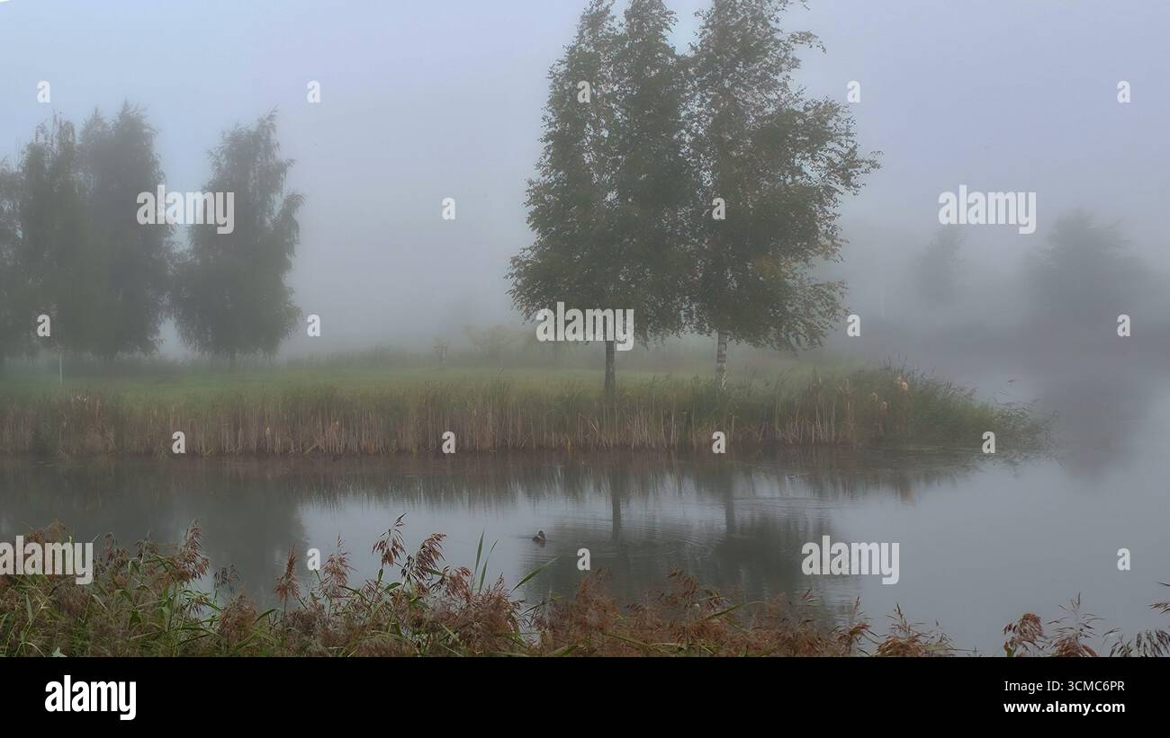 Nebel auf der Sumpflandschaft. Nebeliger Fluss am Morgen Stockfoto