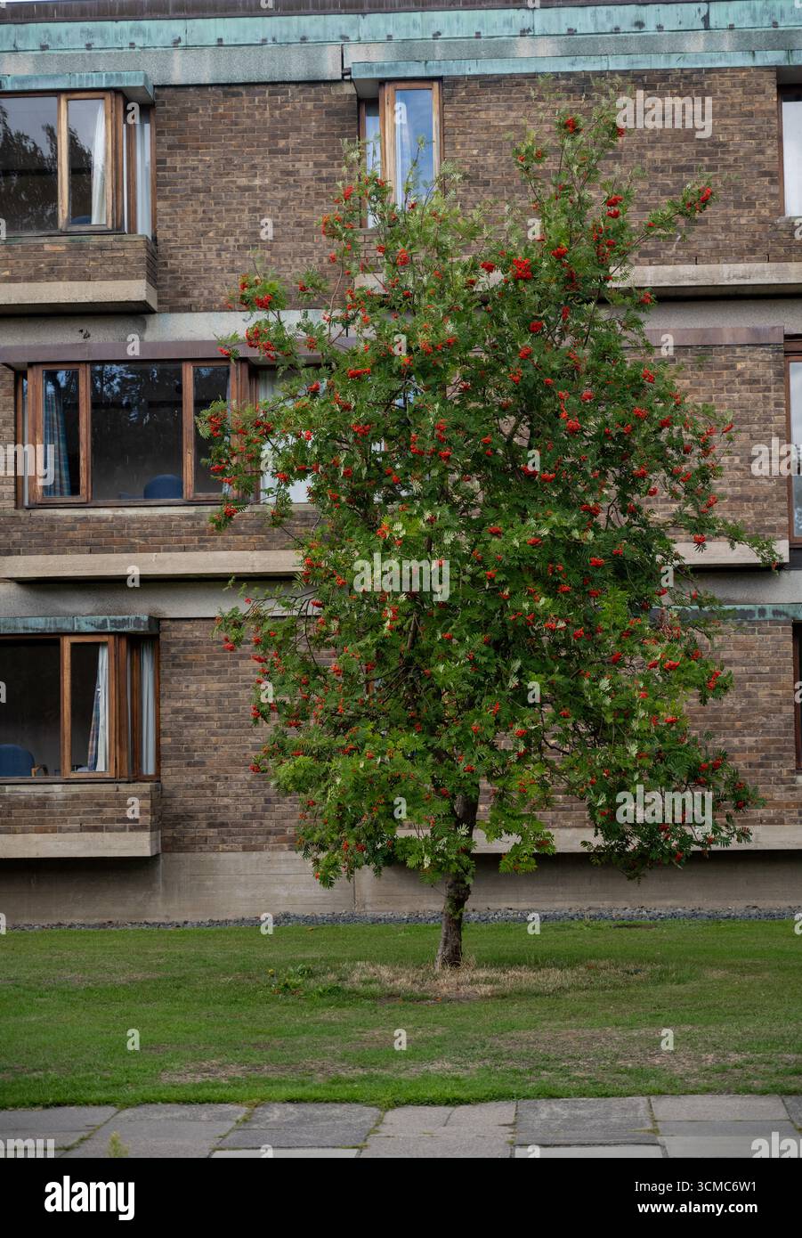 Churchill College, Cambridge, eindrucksvolle moderne Backsteinarchitektur eines College der Universität Cambridge mit brutalistischem Design. Stockfoto