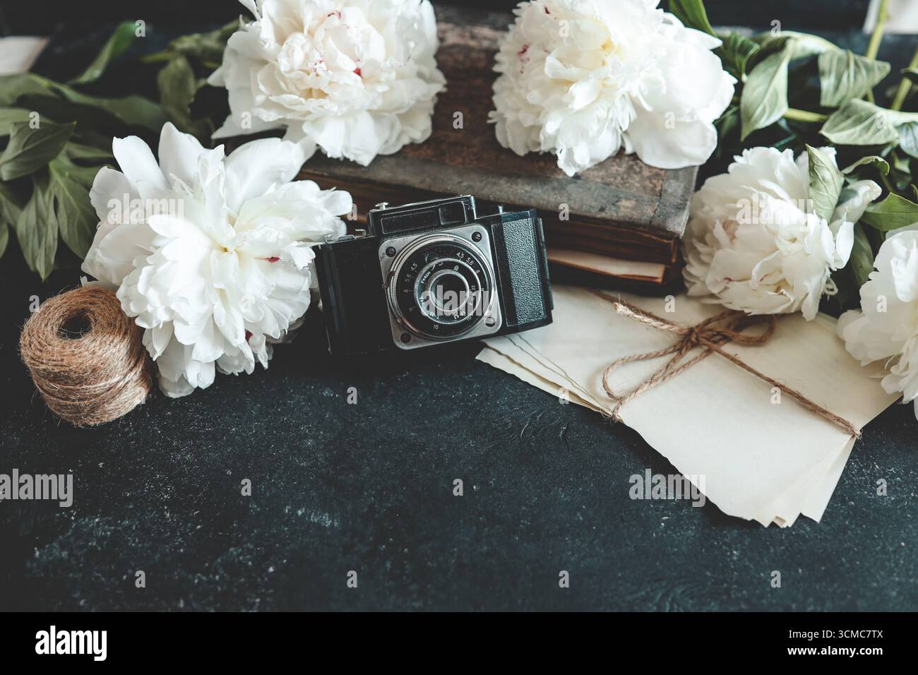 Retro-Fotokamera mit Buch und frischen Pfingstrosenblüten. Stockfoto