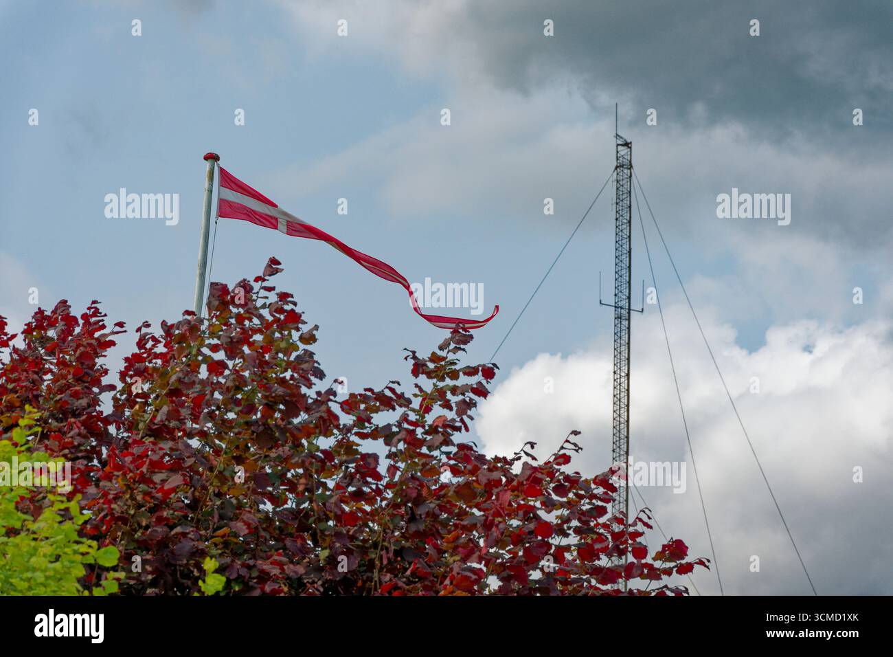 Eine lange dänische Flagge strömt über einem dunkelroten Sträucher, ein kleiner grüner Busch sitzt in der Nähe und ein hoher Mast mit gespannten Drähten ragt im Hintergrund. Schwer Stockfoto