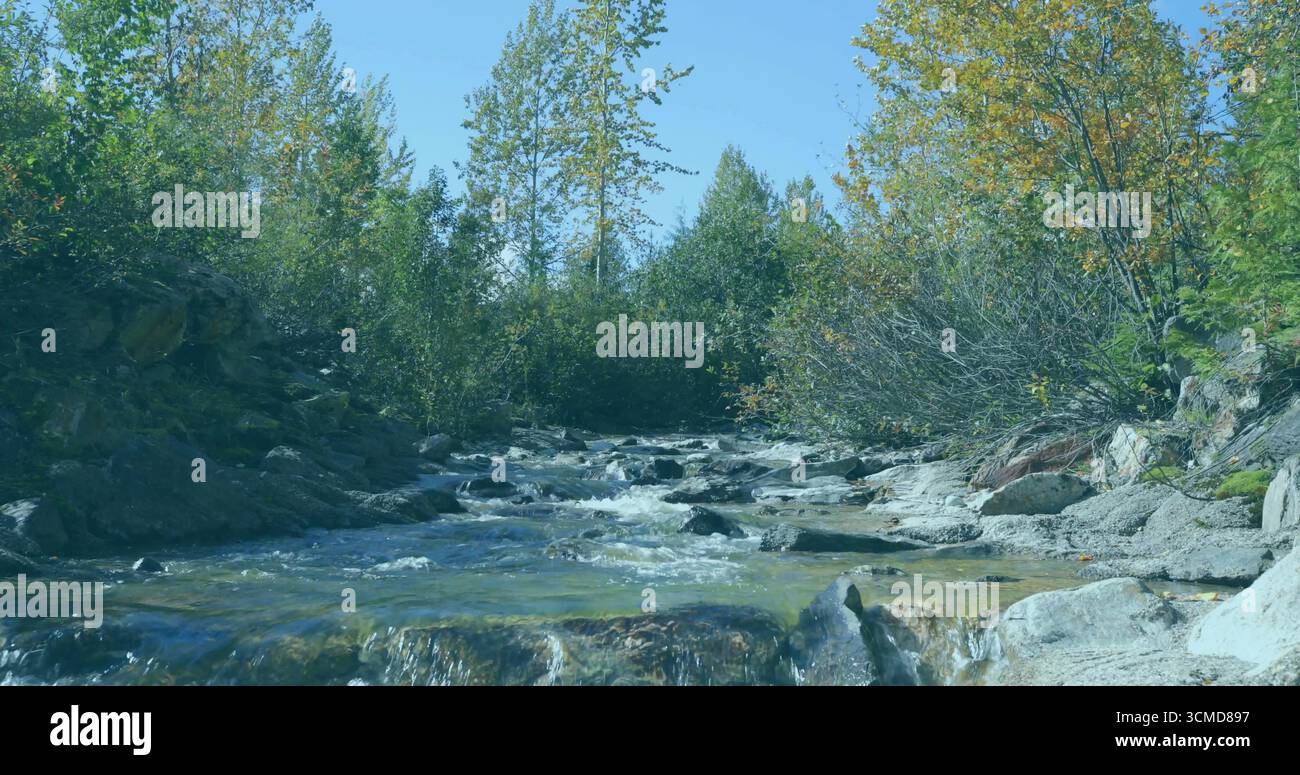 Fließender, flacher, felsiger Bach, der sich über glatte Steine im bewaldeten Tal mit Sträuchern und Bäumen schlängelt Stockfoto