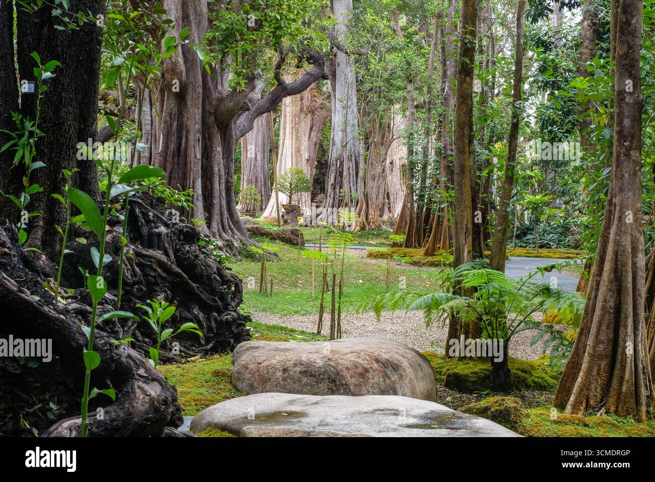 Der Park ähnelt dem Schauplatz eines mittelalterlichen Fantasy-Films Stockfoto