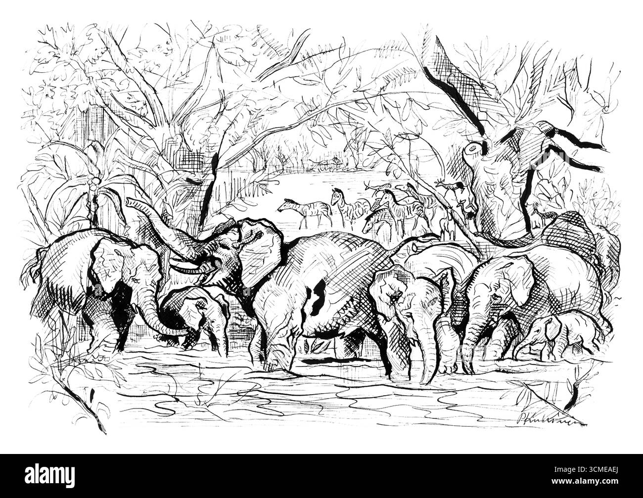 Geschichten in der Wildnis von Arnold Peter Weisz Kubincan - ungarische modernistische Zeichnung, Jagd- und Naturmotive des frühen 20. Jahrhunderts, gemeinfreie Kunst Stockfoto