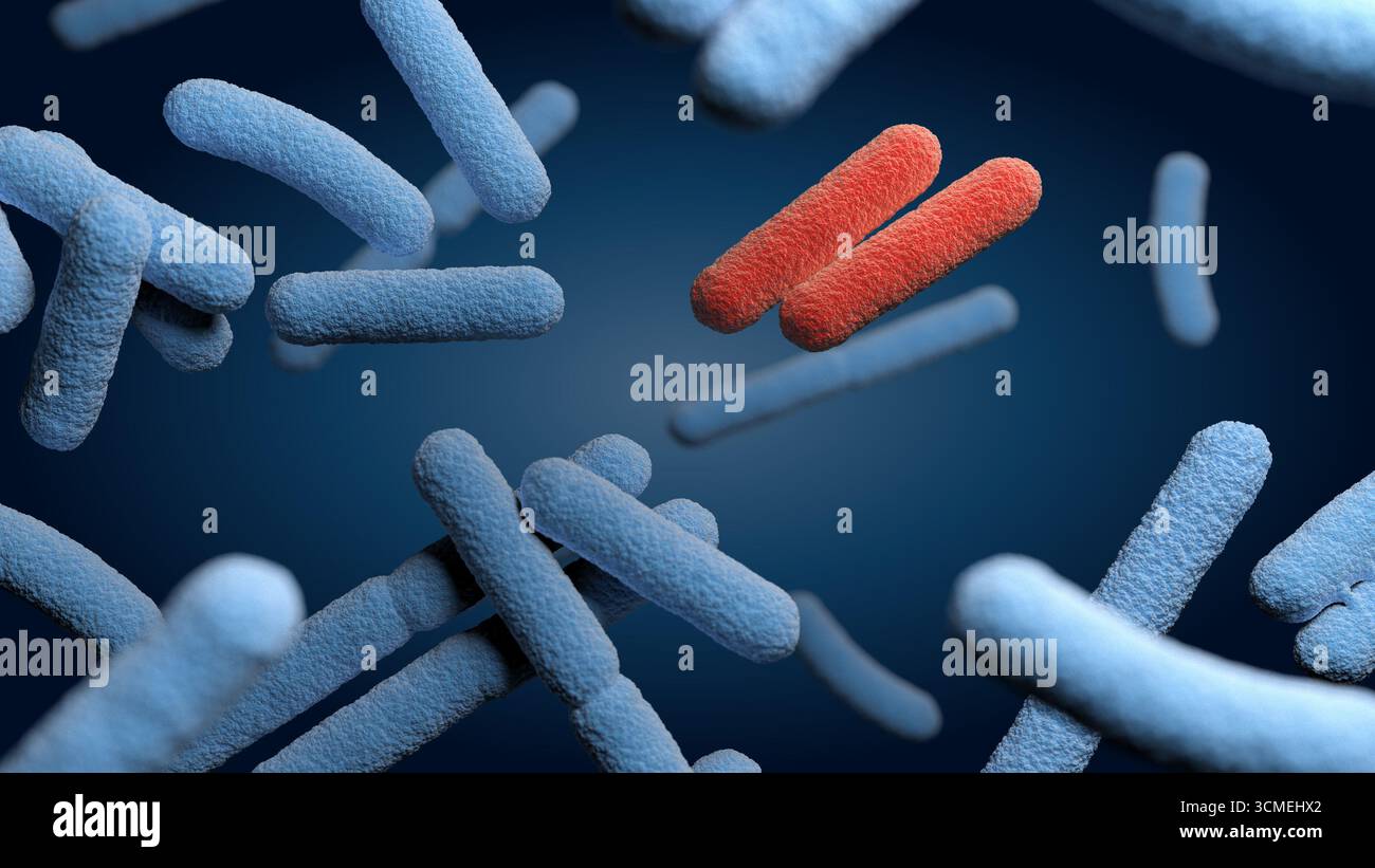 Bakterien. Bakterium. Blaue und rote Farbe. 3D-Abbildung. Stockfoto
