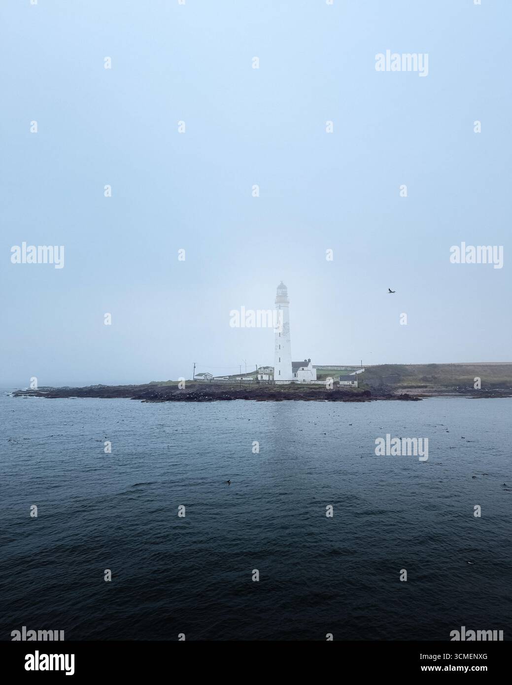Scurdie Ness Lighthouse in Montrose, Schottland, aufragend durch den Meeresnebel mit Reflexion auf dem Wasser, Wahrzeichen der Küste an nebeligen Tagen. Stockfoto