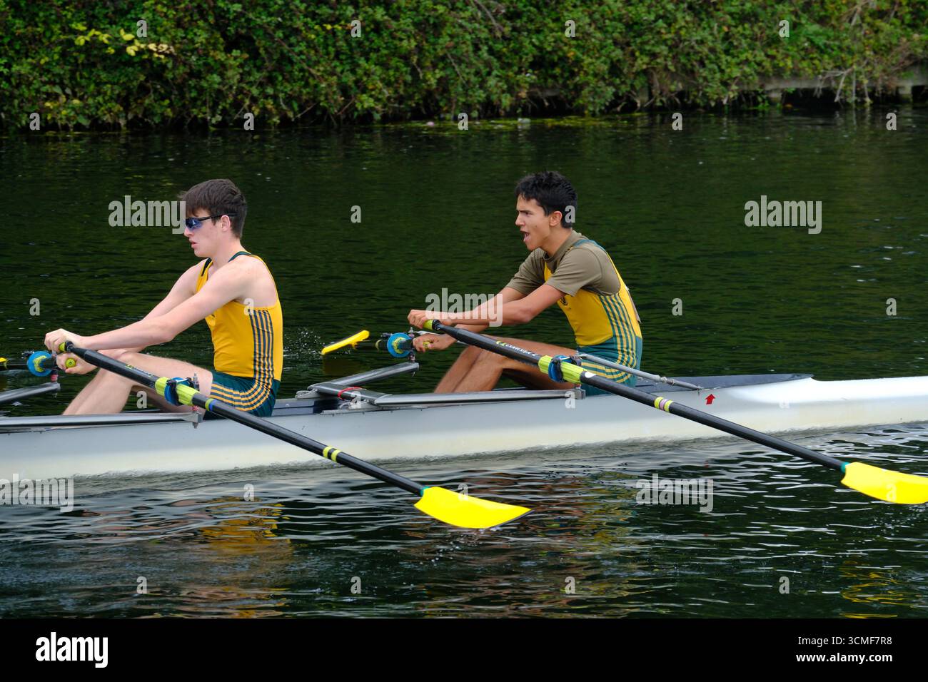 14. August 2025 - Cambridge, Großbritannien - Ruderer bei Rennen auf dem River Cam in Cambridge, Teilnahme an historischen Rennen gegen die Universität und die Stadt. Stockfoto