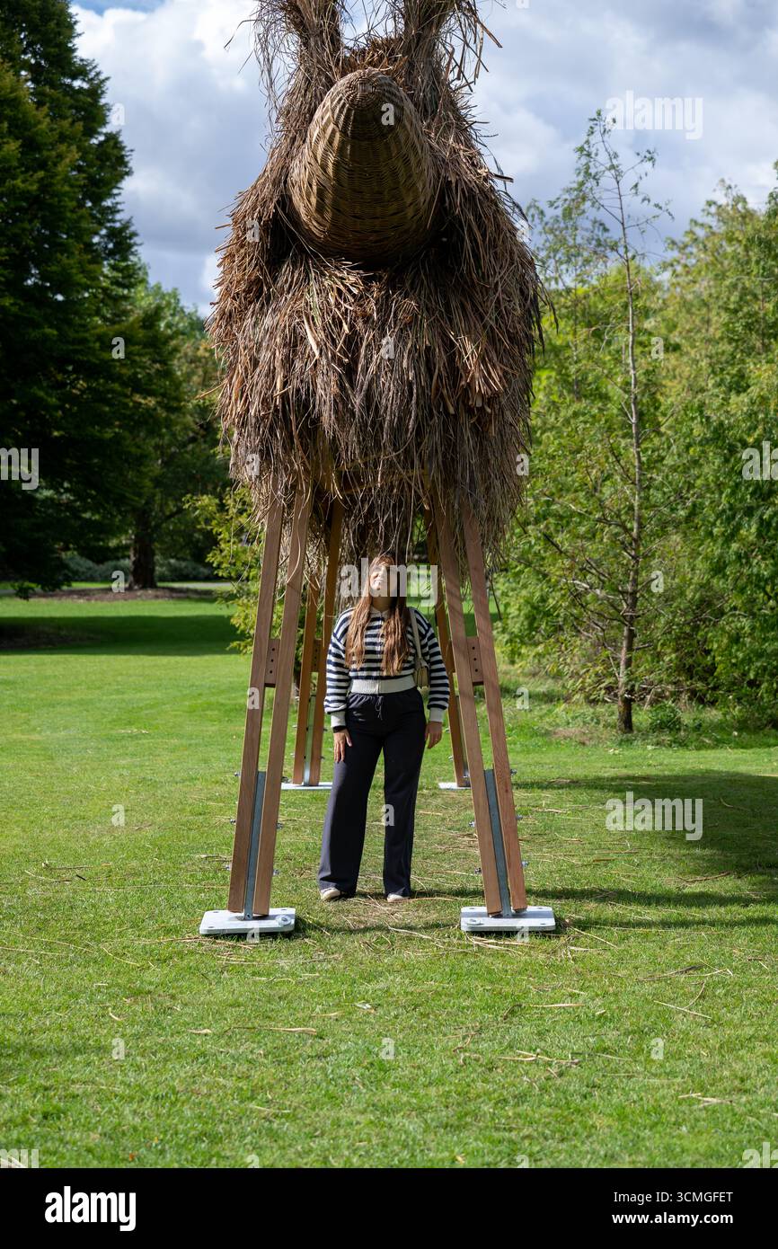 London, Großbritannien, 16. September 2025, Frieze Sculpture 2025, die 13. Ausgabe der viel gefeierten Free Public Art Initiative im Londoner Regent's Park. Vom 17. September bis 2. November. Das Thema ist Schatten mit 14 Skulpturen verschiedener internationaler Künstler, kuratiert von Fatoș Üstek. Installation: Assemble - Fibredog (2025)., Andrew Lalchan Photography/Alamy Live News Stockfoto