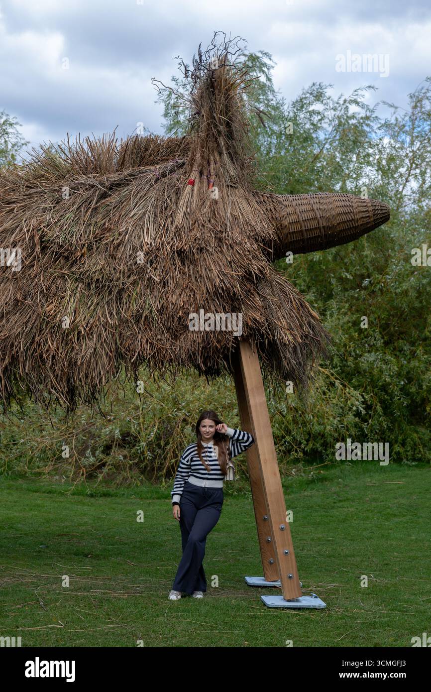London, Großbritannien, 16. September 2025, Frieze Sculpture 2025, die 13. Ausgabe der viel gefeierten Free Public Art Initiative im Londoner Regent's Park. Vom 17. September bis 2. November. Das Thema ist Schatten mit 14 Skulpturen verschiedener internationaler Künstler, kuratiert von Fatoș Üstek. Installation: Assemble - Fibredog (2025)., Andrew Lalchan Photography/Alamy Live News Stockfoto