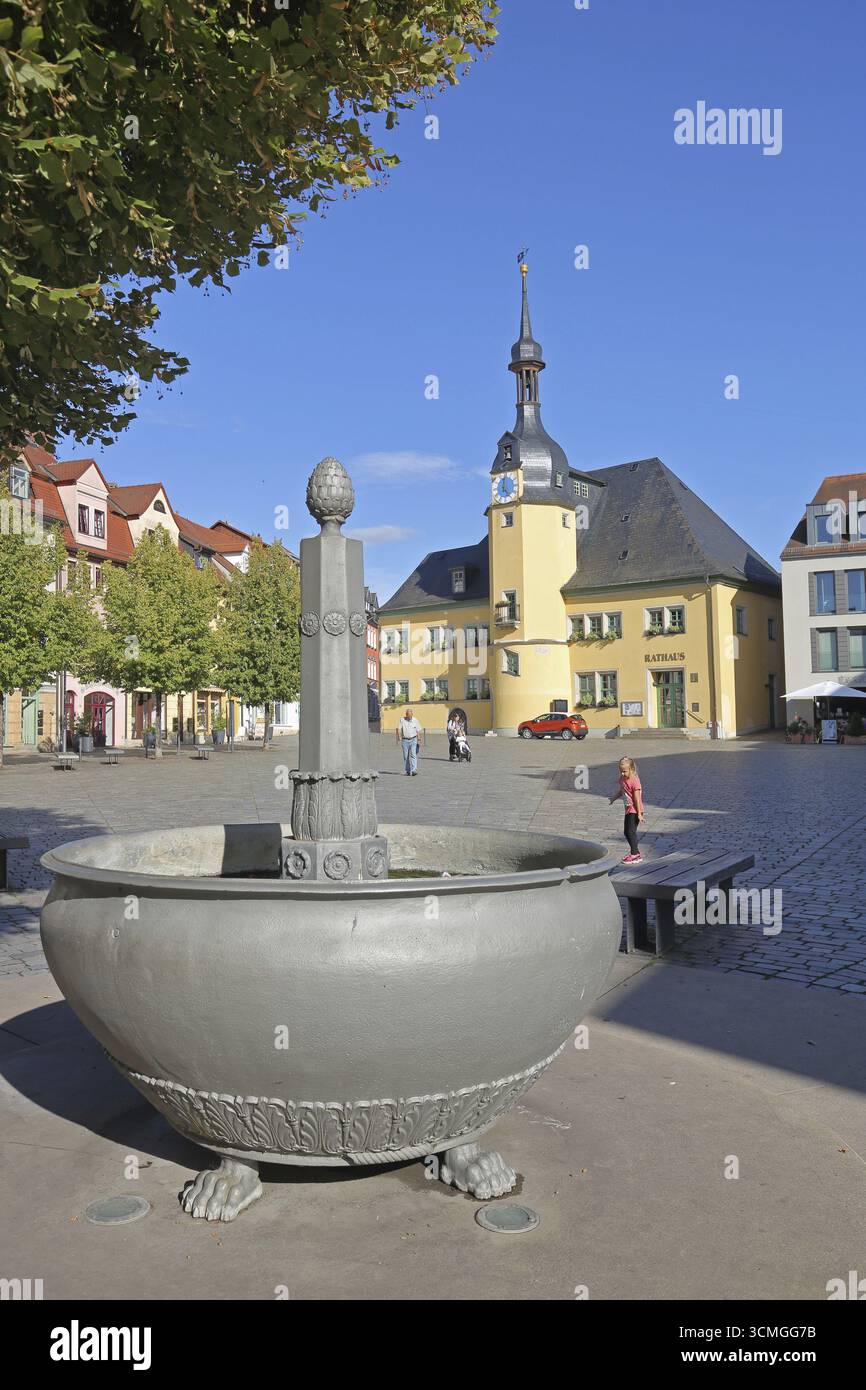 Marktplatz mit Marktbrunnen und Rathaus, Renaissance, Markt, Apolda, Thüringen, Deutschland Stockfoto
