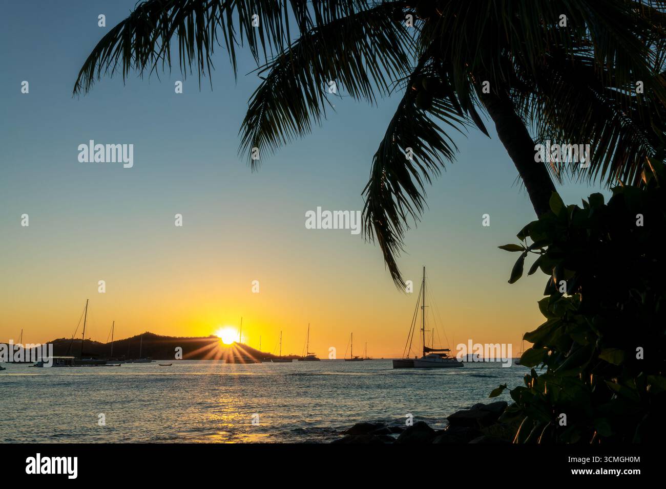 Silhouette einer Palme und Segelboote bei Sonnenuntergang in Grand Case, auf der Karibikinsel Saint Martin (St. Maarten), Französisch-Westindien Stockfoto