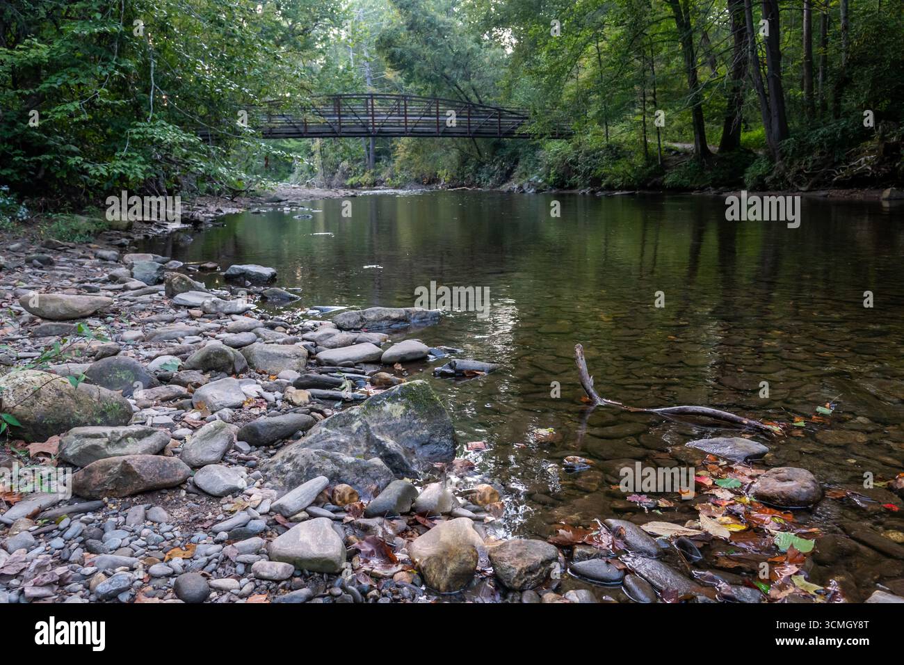 Eine Fußgängerbrücke überquert den Davidson River im Pisgah National Forest in North Carolina. Stockfoto