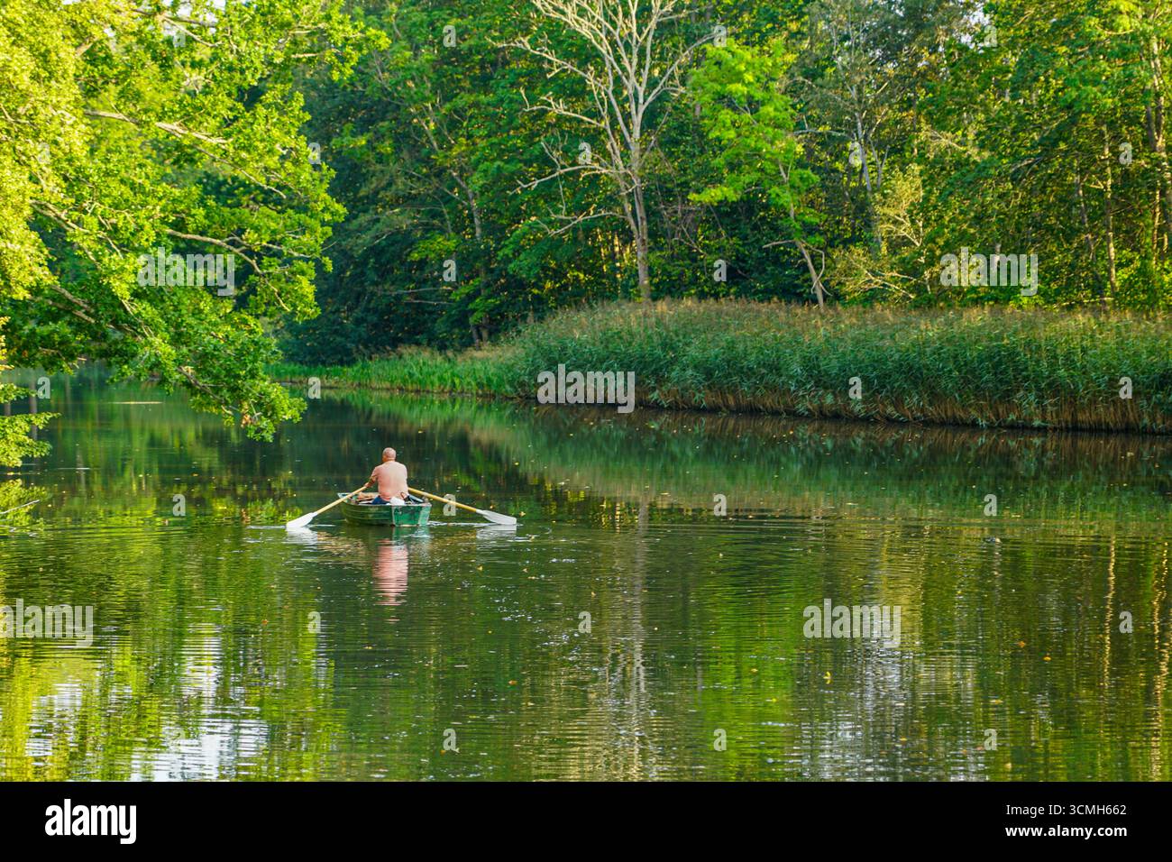 Ein Mann rudert ein Boot auf einem ruhigen Waldfluss, umgeben von üppigem Grün, Schilf und Bäumen Reflexionen im Sommerlicht, Lettland Natur, Europa Stockfoto
