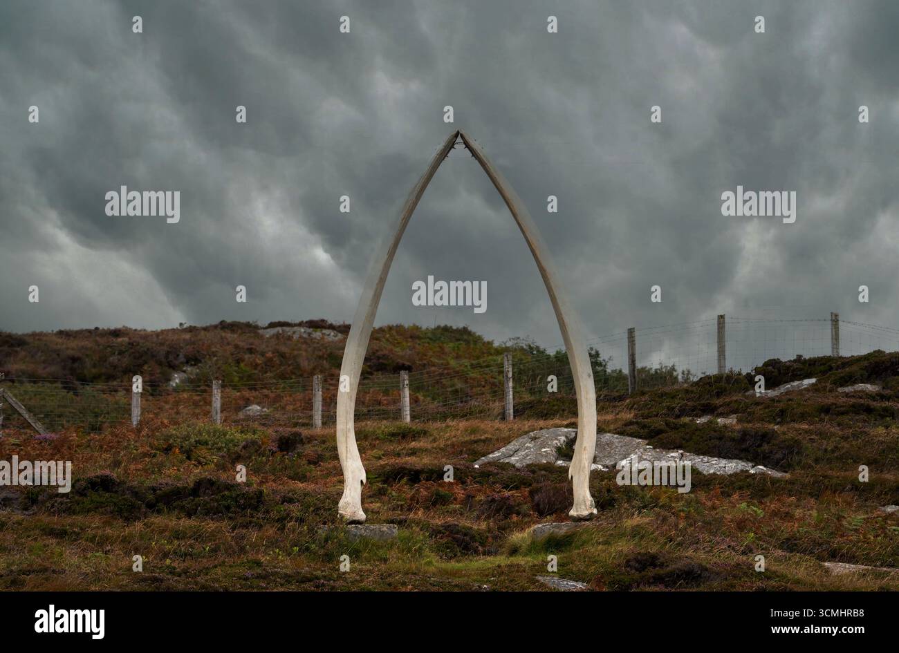 Der Walknochenbogen am Fährhafen auf der Isle of Coll in Argyll and Bute, Schottland Stockfoto