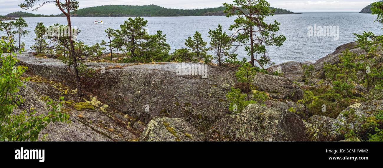 Kiefern wachsen an der felsigen Küste mit Blick auf das ruhige Wasser mit einem kleinen Boot in der Ferne, das die ruhige Schönheit der nordschwedischen Natur zeigt Stockfoto