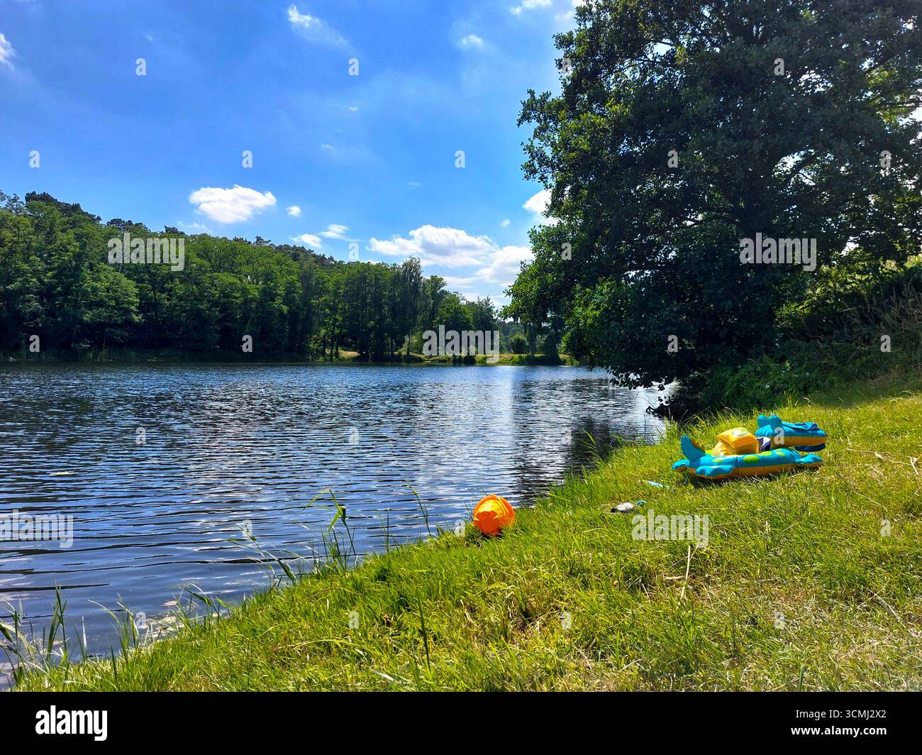 Spielzeuge ruhen sich am grasbewachsenen Seeufer unter dem Sommerhimmel an einem ruhigen Picknickplatz für Familien aus. Stockfoto