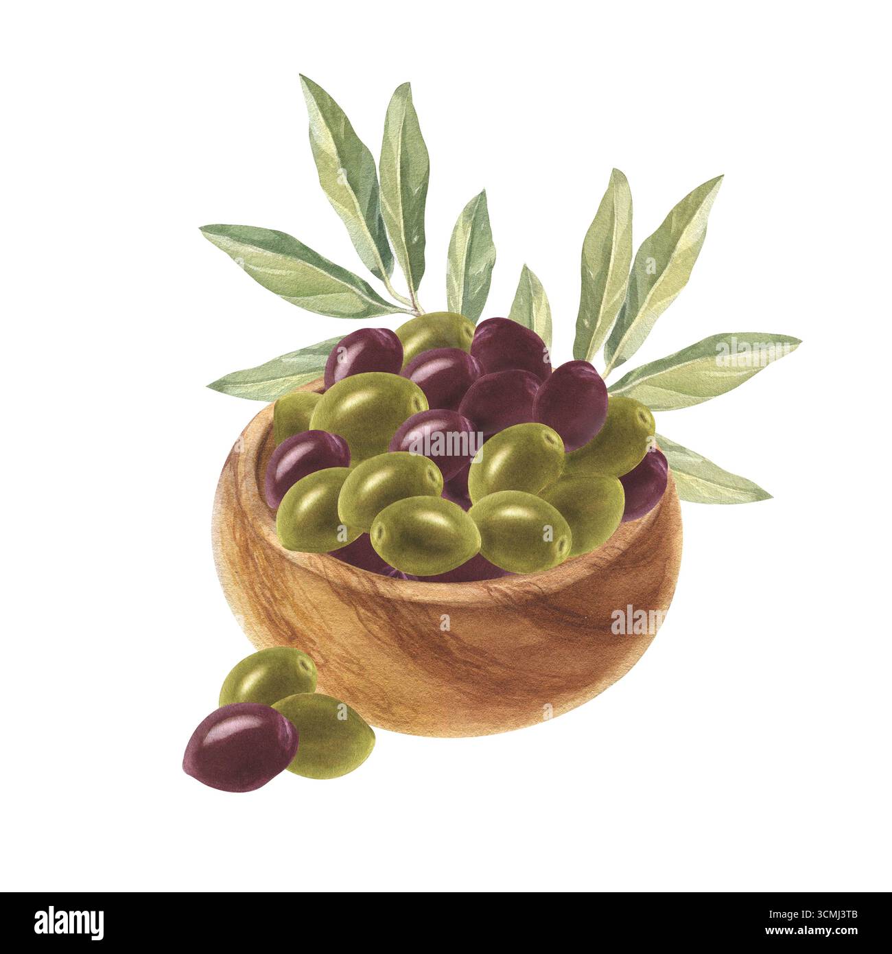 Aquarellillustration für Kochbücher, Rezepte für Konserven und Kochen von Bio-Produkten, landwirtschaftliche Ausstellungen. Stockfoto