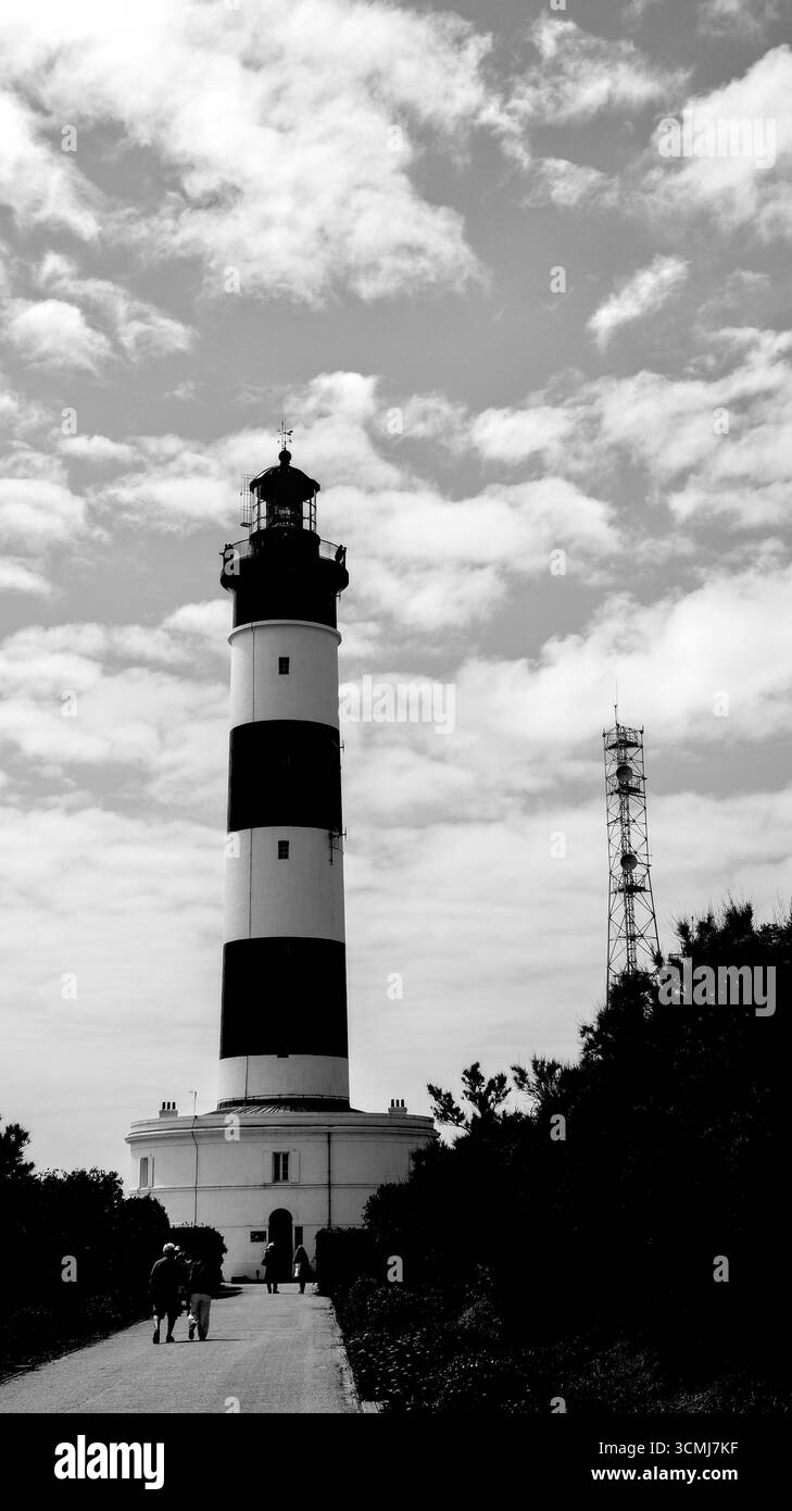 Schwarz-weiß-Foto des Weges, der zum Eingang des Leuchtturms Phare de Chassiron führt, gesäumt von Büschen auf beiden Seiten. Stockfoto
