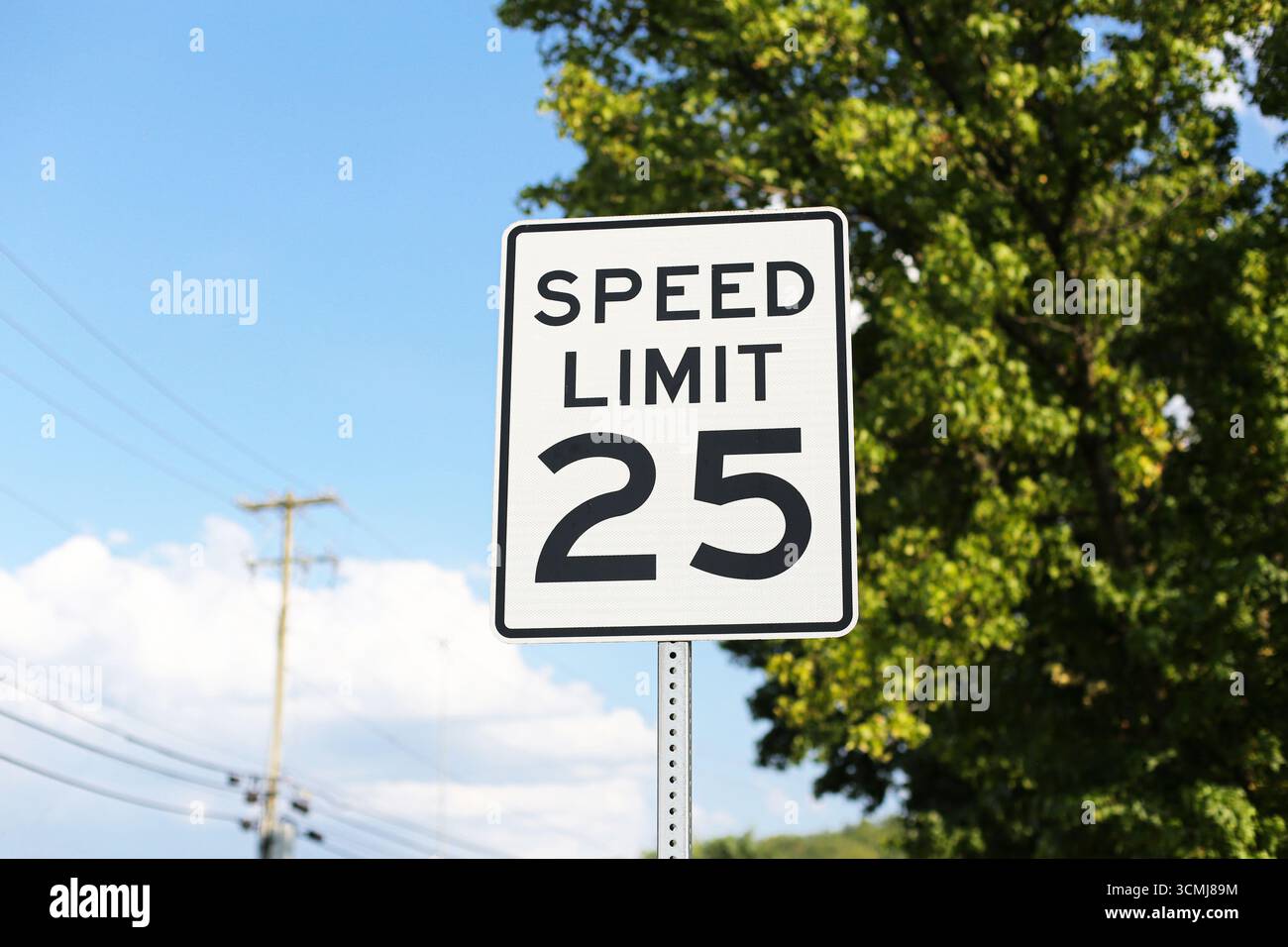 Geschwindigkeitsbegrenzung Straßenschild mit der Nummer 25. Verkehrsordnung und Verkehrssicherheitskonzept. Stockfoto