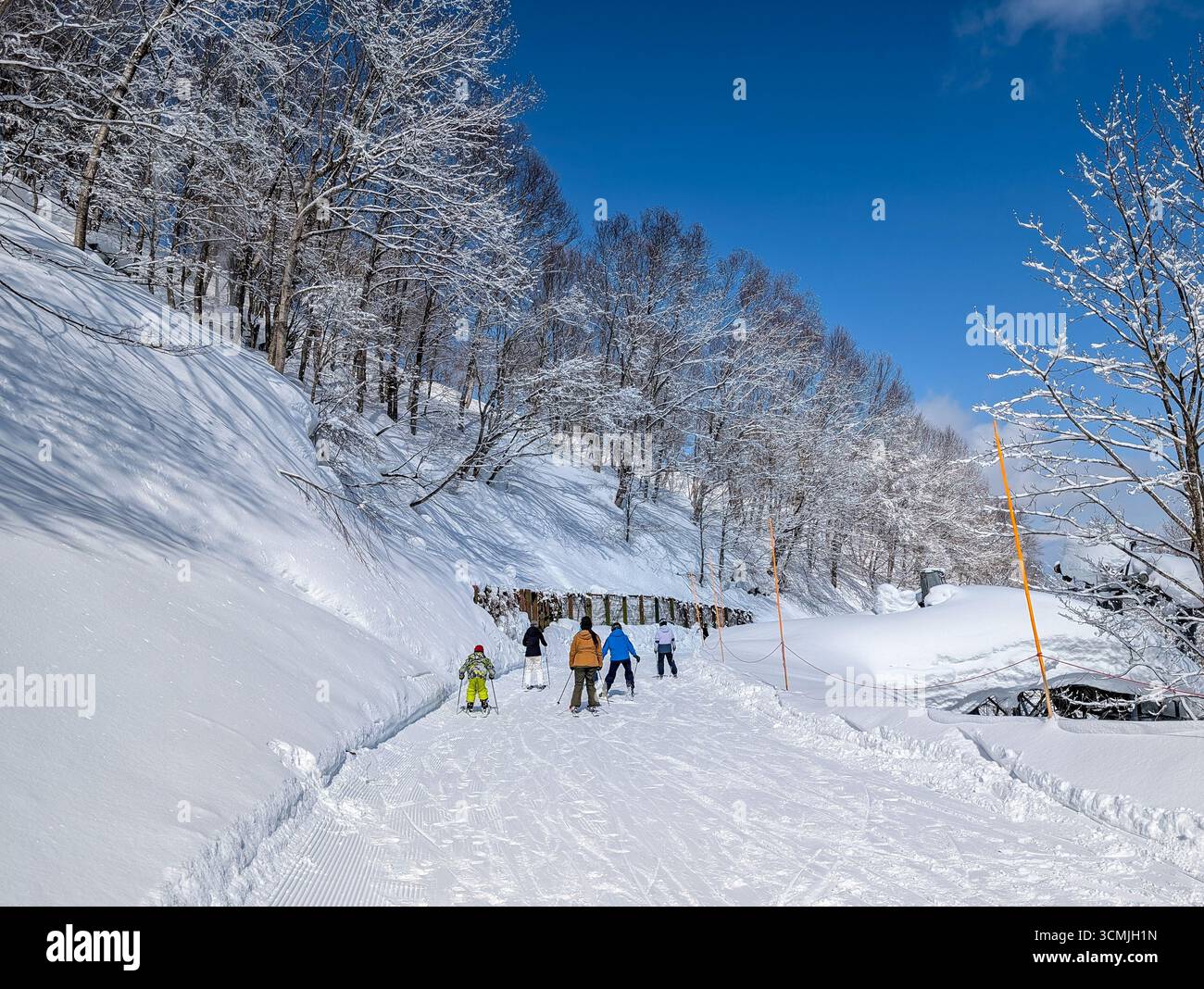 Skifahrer auf einer präparierten Piste durch einen verschneiten Wald an einem klaren Tag in Nagano Stockfoto