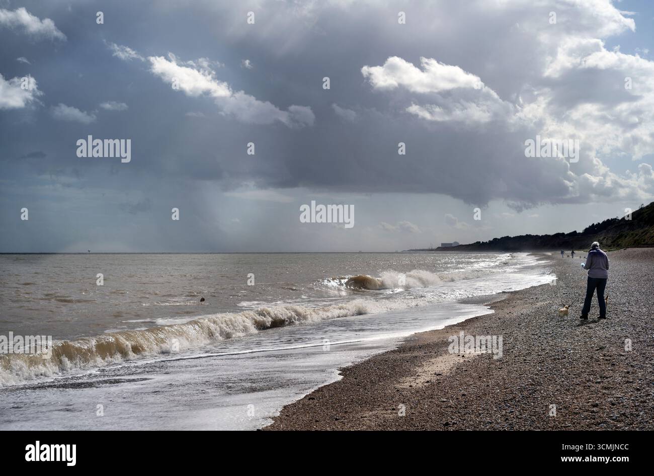 Hund spazieren am steinigen Strand, dunwich, suffolk, englandhorizontal Stockfoto