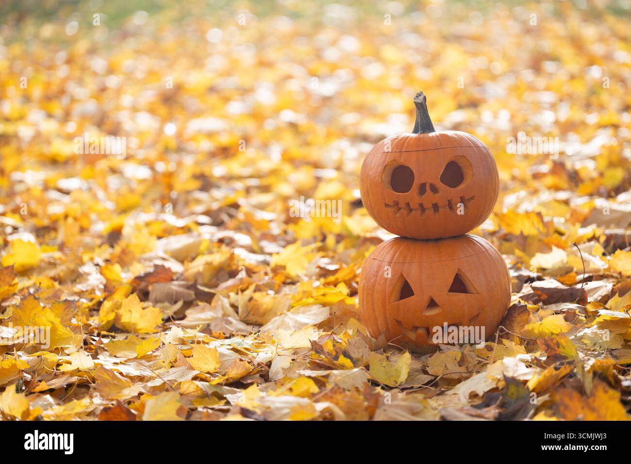 Gestapelte Kürbisse mit einzigartigen Schnitzereien sitzen zwischen farbenfrohen Herbstblättern und betonen den Halloween-Geist mit ihren verspielten Ausdrucksformen und saisonalen Cha Stockfoto