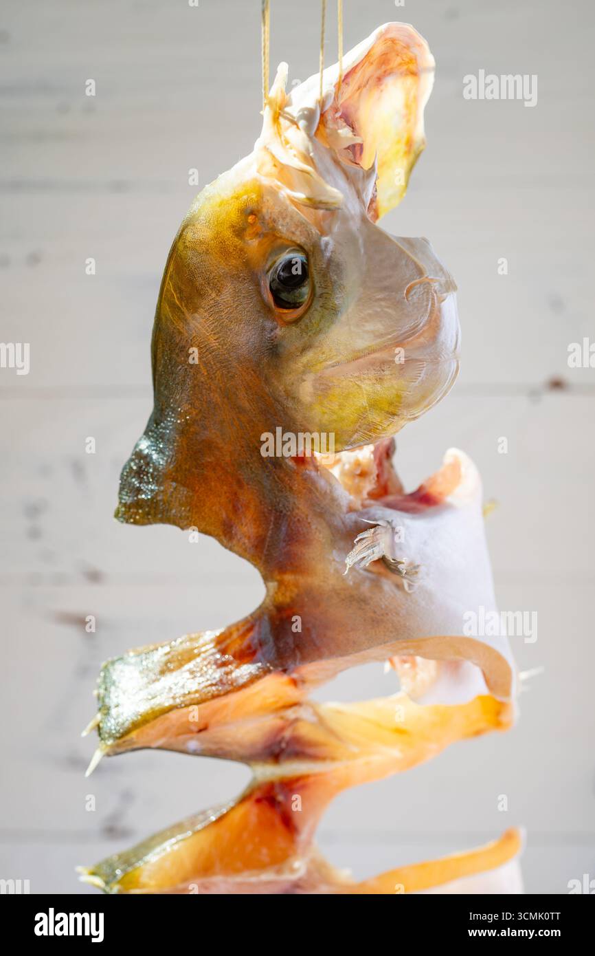Rohe Fische, getrocknet auf einem Balkon vertikale Komposition Stockfoto