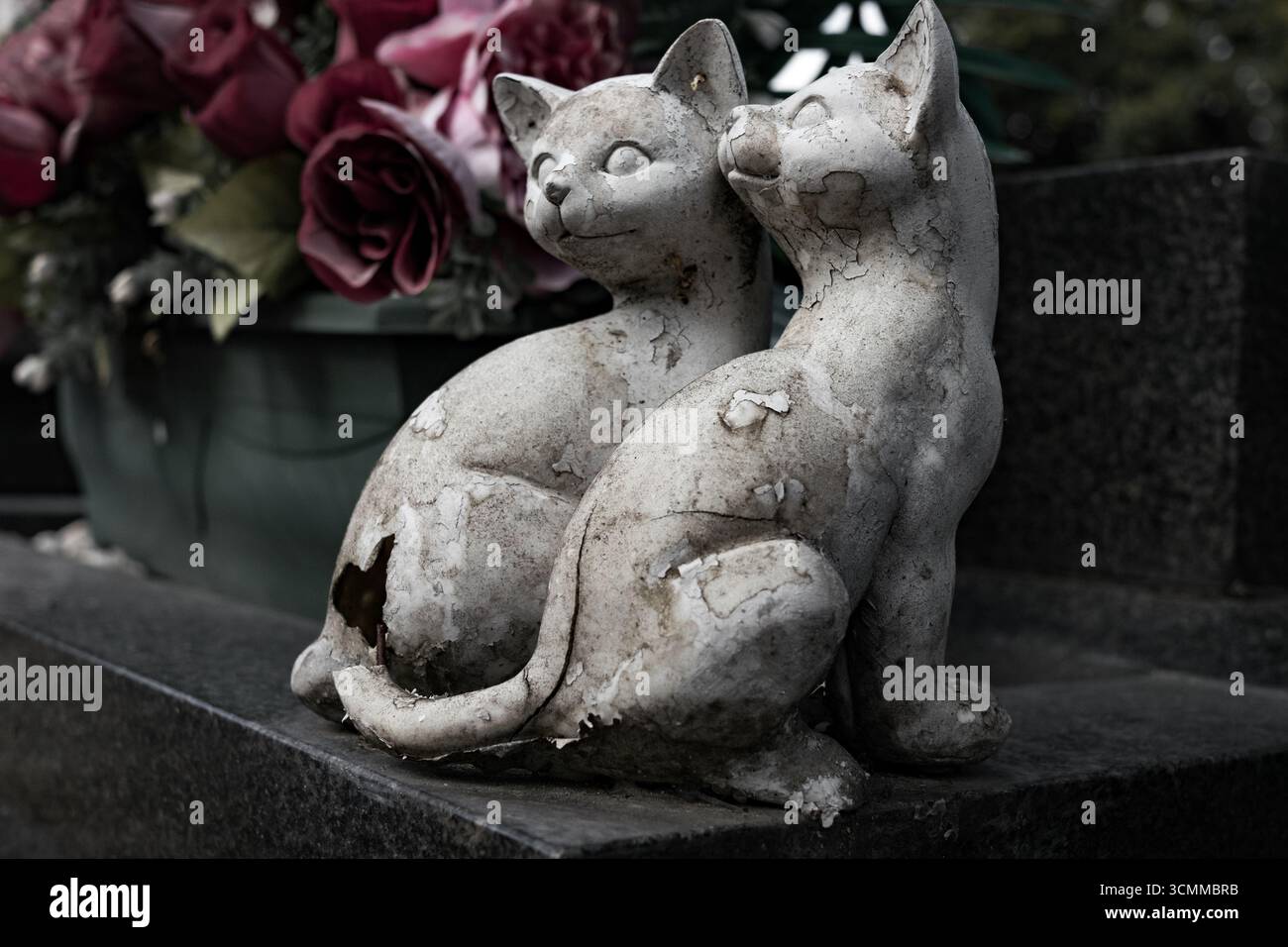 Gedenkskulptur von zwei Steinkatzen, die ewig zusammen mit frischen Rosen auf einem Grabmarker ruhen Stockfoto