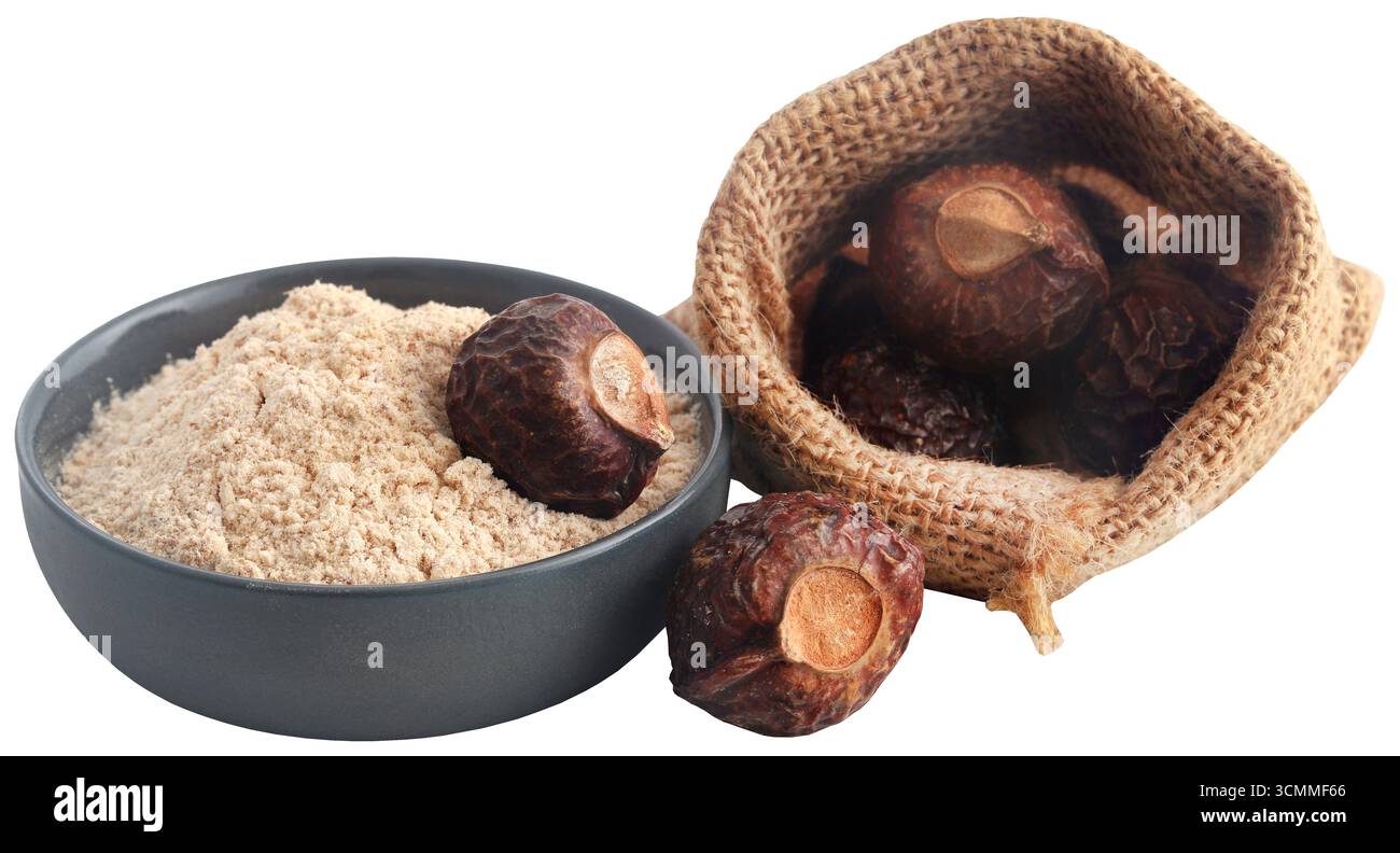 Sapindus mukorossi mit Pulver in einer Schüssel Stockfoto