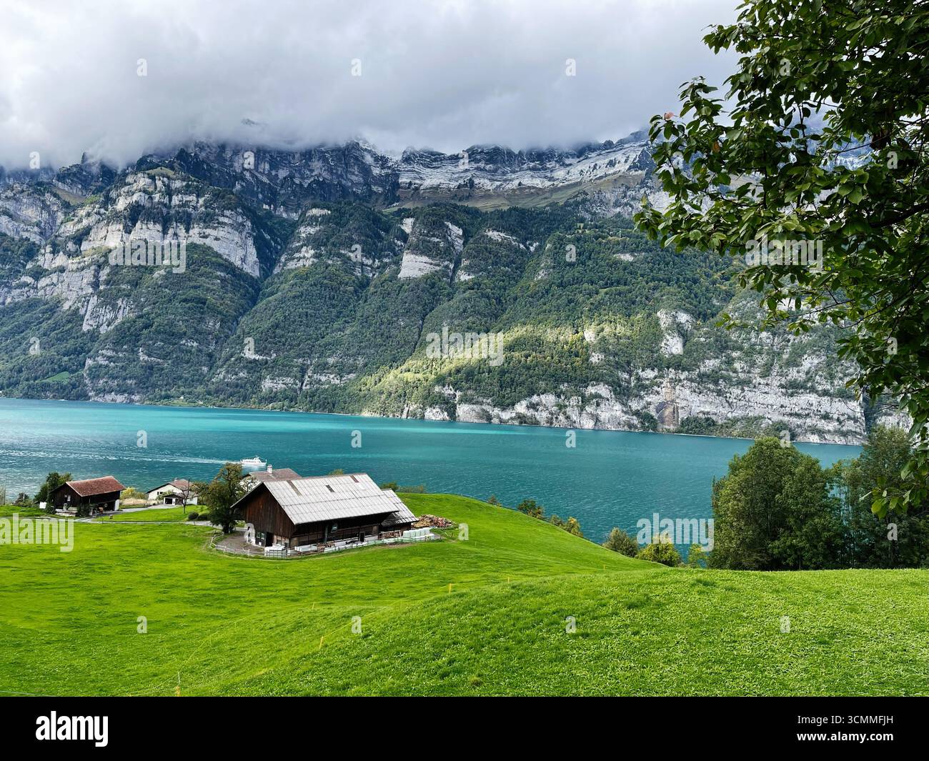 Schweizer Cottages umgeben von grünen Feldern, einem türkisfarbenen See und malerischen Bergen Stockfoto