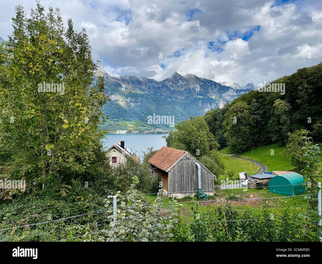 Idyllische Schweizer Landschaft mit See, Bergen, malerischen Gebäuden und üppigem Grün Stockfoto