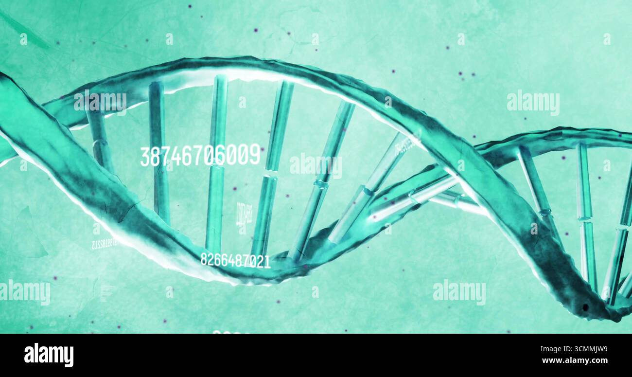 Spiralförmige DNA-Doppelhelixzentrierung in genomischer Grafik, mit numerischen Codes und Datenartefakten Stockfoto