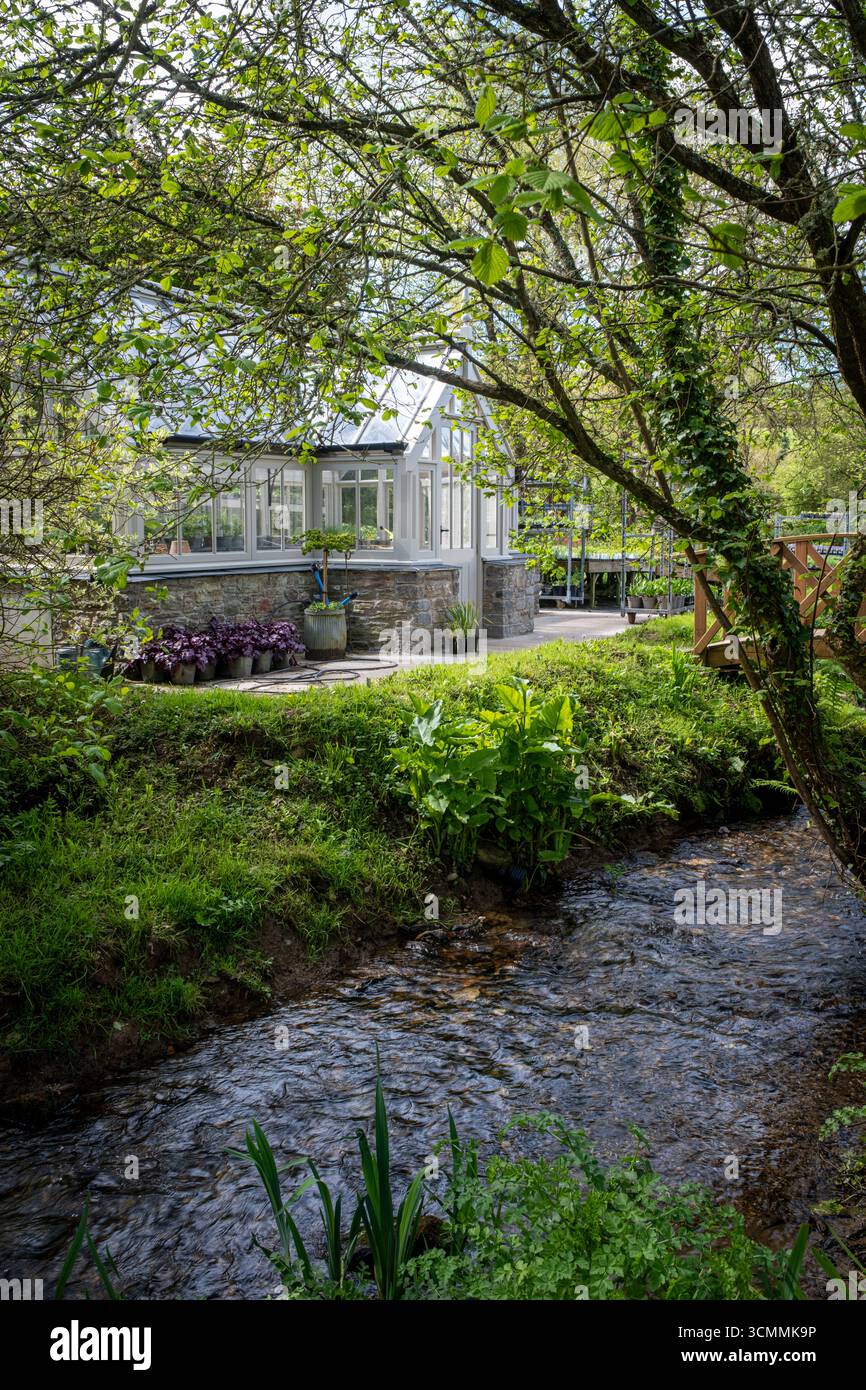 Großes hölzernes Gewächshaus in der Hare Spring Cottage Gärtnerei, Devon mit einem Bach, der durchfließt Stockfoto