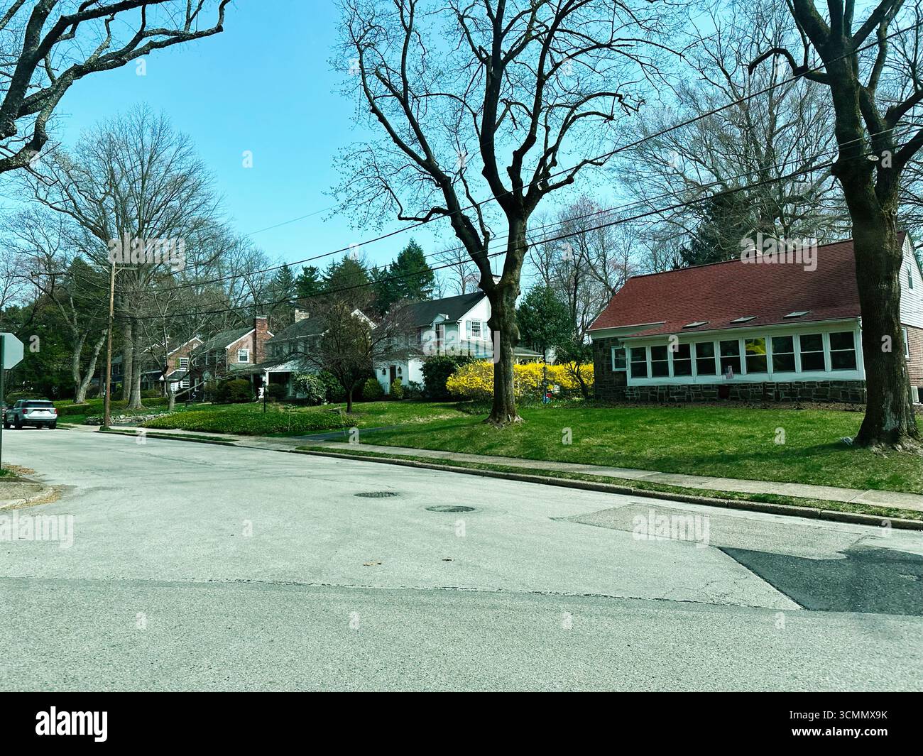 Jenkintown, Pennsylvania, USA - 01. April 2025: Vorstadtstraße mit Häusern und blühenden Bäumen unter einem hellblauen Himmel in Jenkintown, PA Stockfoto