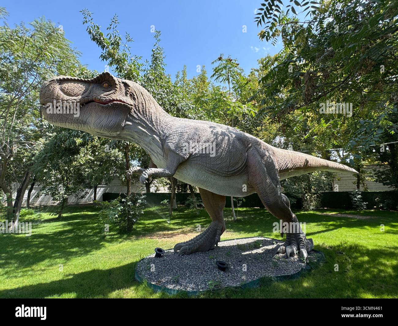 Realistisches Modell von Tyrannosaurus rex in einem Outdoor-Dinosaurierpark. Das riesige prähistorische Raubtier wird als lebensgroße Skulptur in der Natur dargestellt. Stockfoto