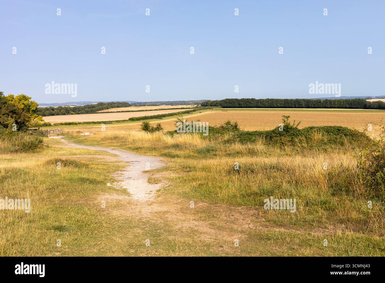 Badbury Ringe im Spätsommer. Dorset, England, Großbritannien Stockfoto